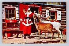 North Pole NY-New York Two Of Santa's Deer Looking For Handout, Vintage Postcard picture