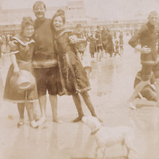 Bathing Beauties Atlantic City Pier Beach Stereoview c1905 Antique Dog Men A1374 picture
