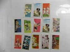 Lot of 13 Barratt Bassett Trade Cards Popular Dogs 1967 picture