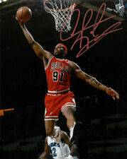 Dennis Rodman 8.5x11 Signed Photo Reprint picture