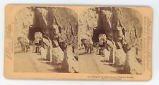1894 Real Print Stereoview Along the Mountain Road of Western Norway. Horse Cart picture