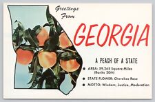 Georgia State, Peaches, Vintage Postcard picture