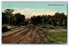 Troy Alabama Postcard Drive Out Exterior View Road 1914 Vintage Antique Posted picture