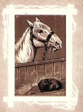 c1910 WESSINGTON SOUTH DAKOTA HORSE SLEEPING CAT R. RICHE ARTIST POSTCARD 46-67 picture