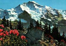 VINTAGE CONTINENTAL SIZE POSTCARD THE JUNGFRAU RANGE GERMANY picture