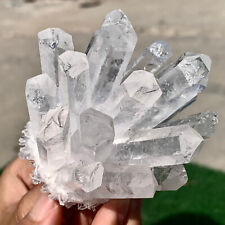 329G  New Find white PhantomQuartz Crystal Cluster MineralSpecimen picture