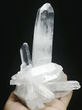 1.99lb Natural Beautiful White Quartz Crystal Cluster Point Mineral Specimen picture