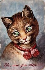 Postcard Artist Signed Arth Thiele Fantasy Charming Cat Demurs~1908 JA33 picture