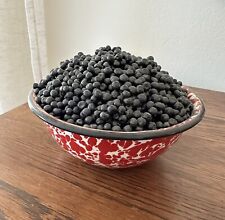 Fake/Model Food Bowl of Blueberries Artist Made picture