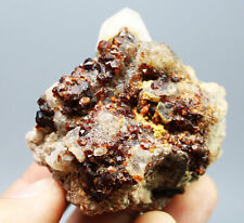 Top  Spessartine Garnet with Smoky Quartz Crystal Mineral Specimen   110g picture