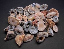 OCO Geodes 1 LB Lot Natural Crystal Agate Druzy Halves Polished Front Edge picture