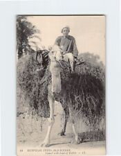 Postcard Camel with Load of Feeder Egyptian Types and Scenes picture