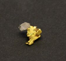Gold specimen Crystalline Gold  Texas Hill  Mariposa Co. CA picture