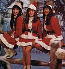 The Ronnettes RONNIE SPECTOR 8x10 Glossy Photo picture