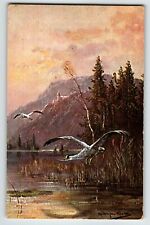 Postcard Wildlife Bird Herons Lake Mountains Artist Signed Muller Germany HK & M picture