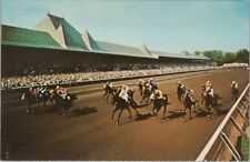 c1960s Saratoga New York horse racetrack thoroughbred long stretch postcard B328 picture