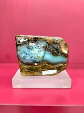 Rare mix color petrified wood with picture polished 733gr (5x11x8cm) 421 picture