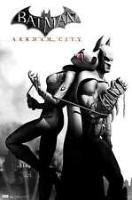 DC Comics VIdeo Game - Arkham City - Catwoman Poster picture