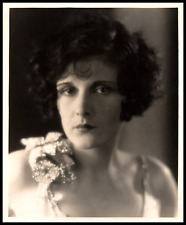 Hollywood Beauty EVELYN BRENT STYLISH POSE HOMMEL PORTRAIT 1920s Photo 753 picture