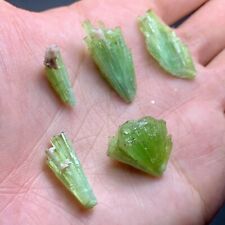 80  Carat Beautiful Lot Of Tourmaline Bunches Crystals From Afghanistan picture