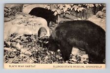 Springfield IL-Illinois, Black Bear Habitat, State Museum, Vintage Postcard picture
