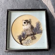Vintage Miniature Shadow Box Minature Owl & Dried Flowers 10” X 10” picture