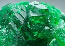 181 Ct. Full Terminated Top Green Swat Emerald Crystal Bunch, Pyrite @Pakistn picture
