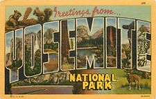 c1940 Large Letter Greetings From Yosemite National Park, California Postcard picture