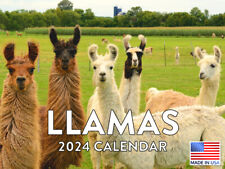 Llama 2024 Wall Calendar picture