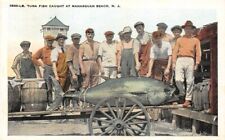 1800 Lb Tuna Fish Caught at Manasquan Beach New Jersey white border picture
