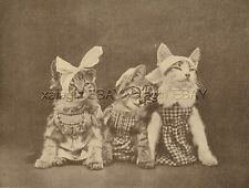 Cat Dressed Sick Kittens Waiting for Doctor Veterinarian Dentist Cute 1915 Print picture