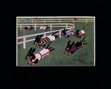 Dachshund Racing - CUSTOM MATTED 5 x 7 - German Dog Art Print Gift - CLEARANCE picture