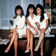 Ronnie Spector and The Ronnettes Color 8x10 Glossy Photo picture