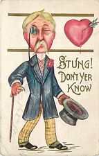 Valentine's Day Stung Don't Yer Know Postcard pm 1913 picture