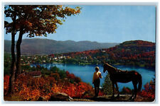 1963 Horse, from the Lookout Ste. Adele-en-haut Quebec Canada Postcard picture