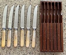 VTG LEWIS,ROSE & CO LTD STAINLESS ENGLISH STEAK KNIVES SHEFFIELD ENGLAND W/ BLK picture