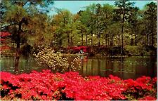 Norfolk VA-Virgina, Municipal Gardens, Scenic View, Vintage Postcard picture