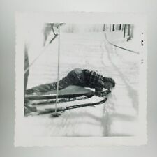 Laughing Woman Ski Accident Photo 1950s Cross Country Disaster Snapshot A4217 picture