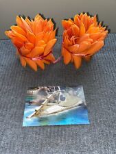 20,000 Leagues Under the Sea Walt Disney World Attraction Seaweed Prop picture