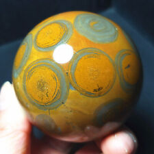 RARE 329G Natural Polished Money Banded Agate Crystal Sphere Ball Healing  A3877 picture