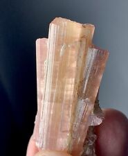 80 Carat Pink Tourmaline Crystal Specimen From Pakistan picture