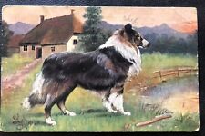 Beautiful Collie Artist Signed Dog Vintage Art A/S Postcard picture