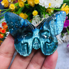 Natural Labradorite Hand Carved Butterfly Skull Quartz Crystal Healing Reiki 1pc picture