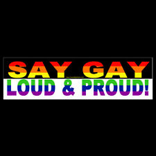 Say Gay Loud and Proud BUMPER STICKER or MAGNET magnetic decal LGBTQ gay pride picture