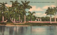Royal Palms along an Inland Waterway, Florida, FL, 1942 Linen Postcard e1008 picture