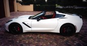 Bubba Watson Corvette Stingray