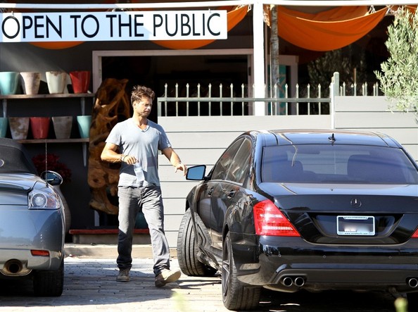 David Charvet Mercedes Benz S Class