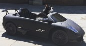 Deadmau5 Lamborghini