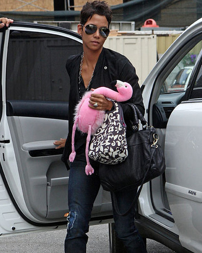 Halle Berry – What Is She Carrying, What Is She Driving