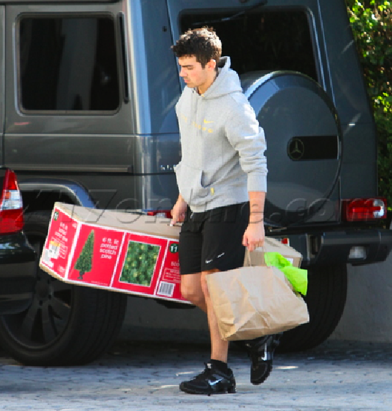 Joe Jonas' Boxed Tree and G-Wagon Joe Jonas' Boxed Tree and G-Wagon